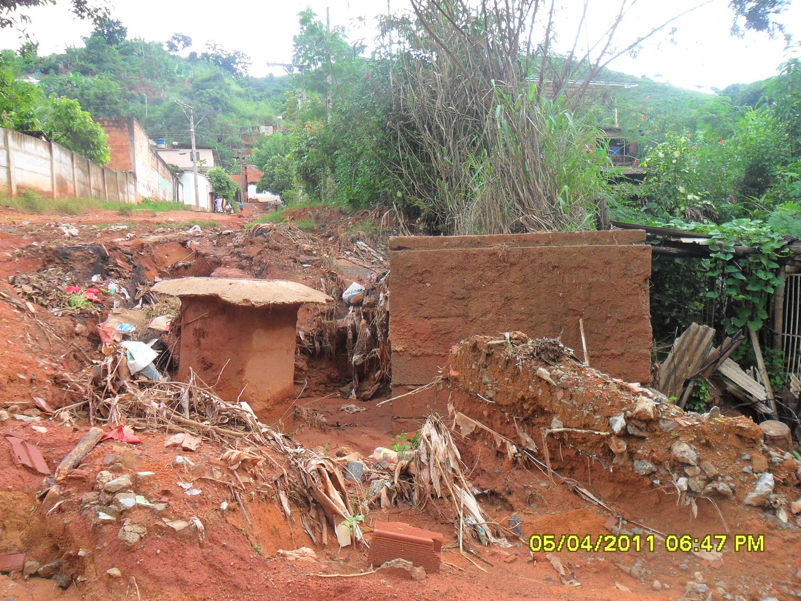 Anderson Pereira http://thebrothersturma303.blogspot.com/2011/04/o-meio-ambiente-pede-ajuda.html)