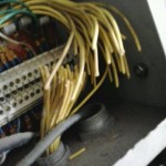 11079714_1088100621205400_86548466_n