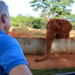 10269466_400944460078955_5188721780031362309_n-300×200