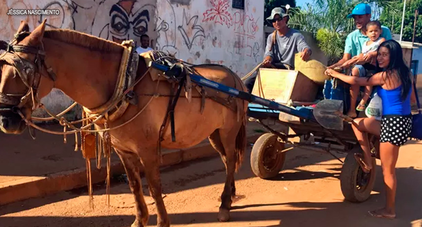 Carroças viram táxi em região do DF onde ônibus se negam a atender