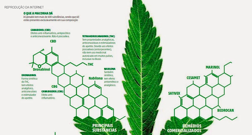 Justiça autoriza princípio ativo da maconha e libera o canabidiol para uso medicinal