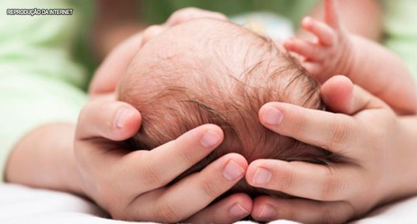 DF continua sem casos de microcefalia relacionados ao Zika vírus