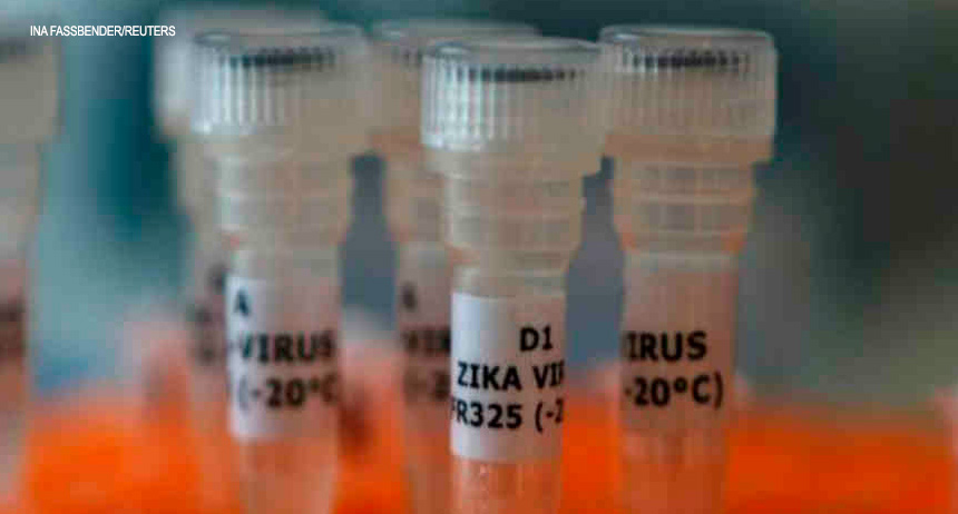 Brasil sonega amostras de zika para pesquisa no exterior, dizem cientistas