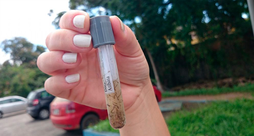 Mais 316 casos de dengue foram confirmados no DF