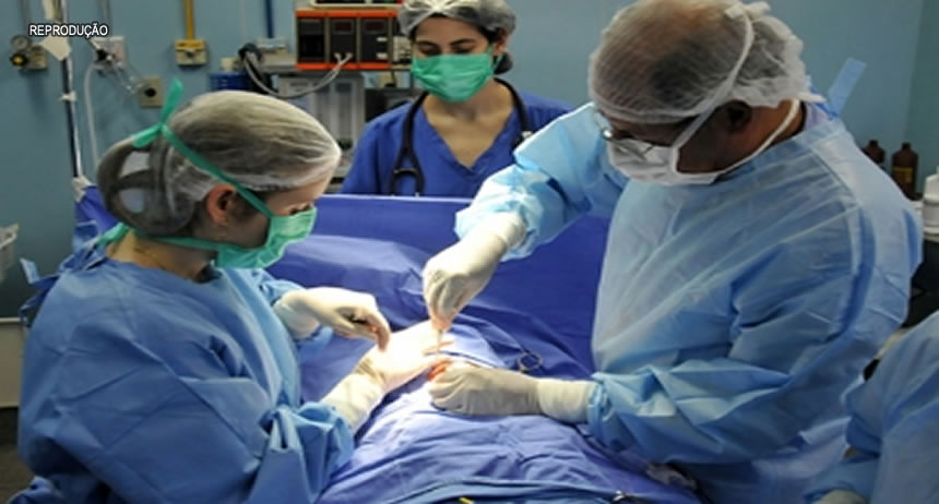 ICDF fica em primeiro lugar no ranking de transplantes de coração