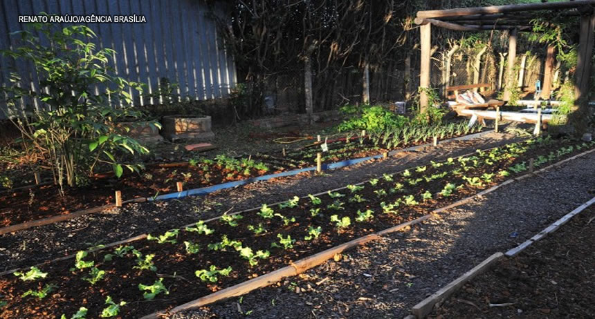 Unidade de saúde do Lago Norte (DF) ganhará horta comunitária