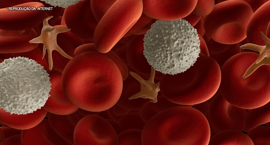 Câncer: Nanotecnololia atinge células com tumor e poupa as saudáveis