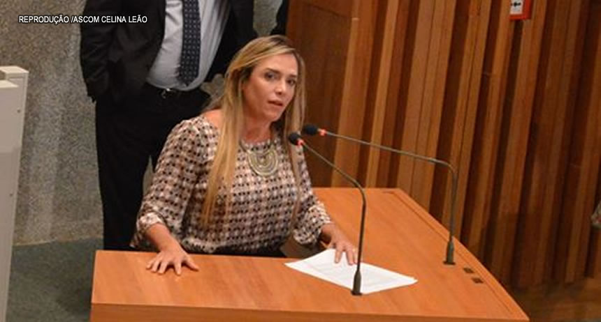 Acesso assegurado a cães