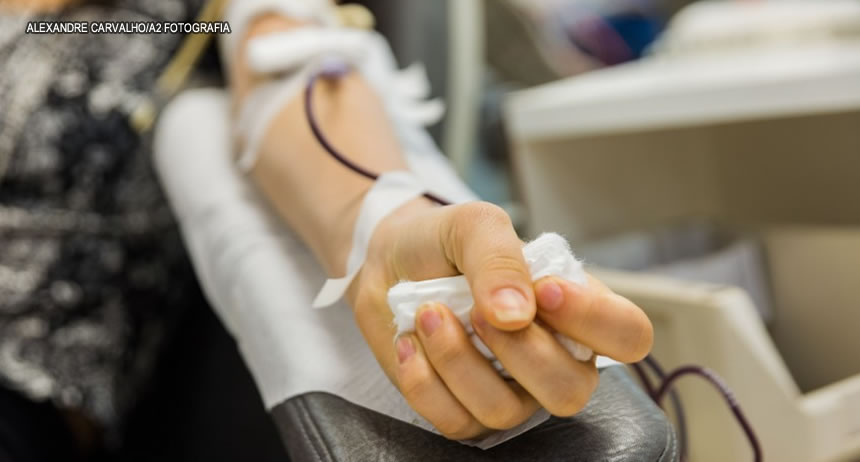 Saúde restringe doação de sangue para quem teve zika ou chikungunya