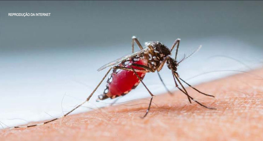 Saúde do DF registra 677 casos prováveis de dengue em 2017