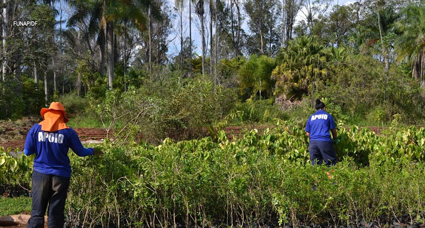 Funap-DF consegue postos de trabalho para todas as mulheres presas do regime semiaberto