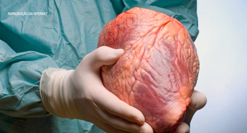 Decreto altera Sistema Nacional de Transplantes no país