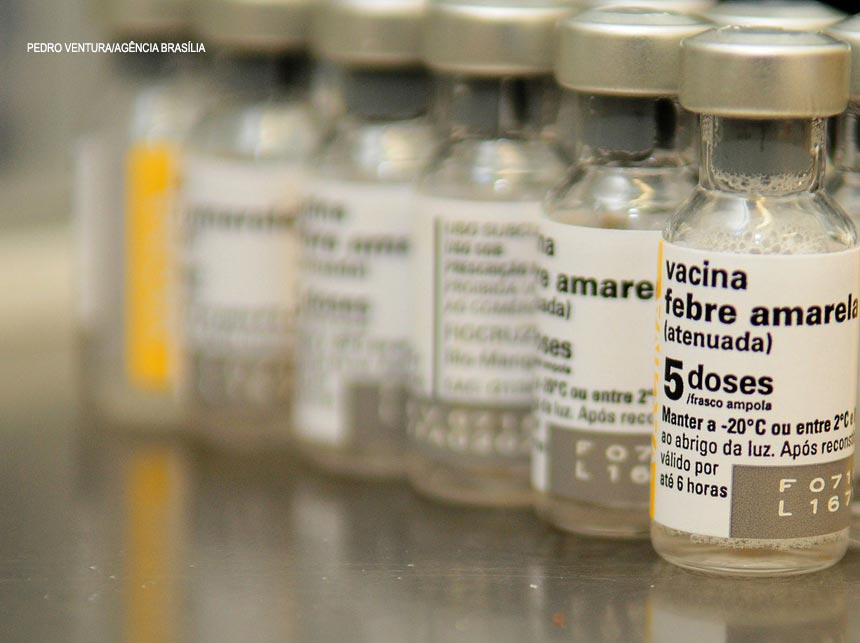 Febre amarela: vacinação em dia é o primeiro cuidado