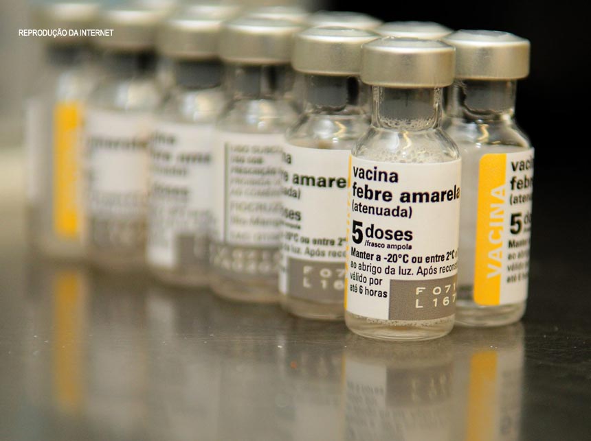 Campanha de vacinação terá dose fracionada de febre amarela em três estados