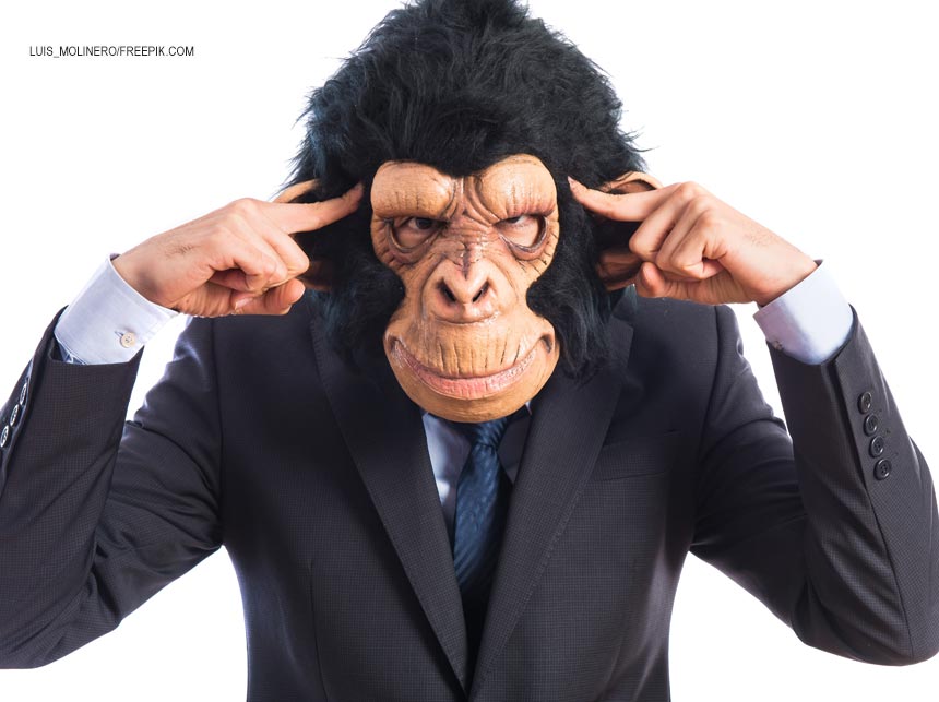 Febre Amarela: Não matem os macacos, cobrem dos políticos