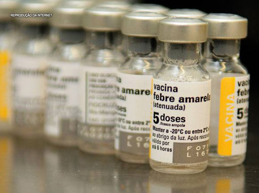 Número de mortes por febre amarela no país sobe para 154