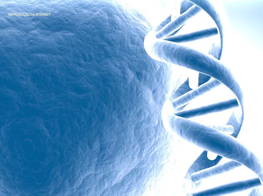 Liminar aponta ‘afronta a concorrência’ em compra para doenças raras