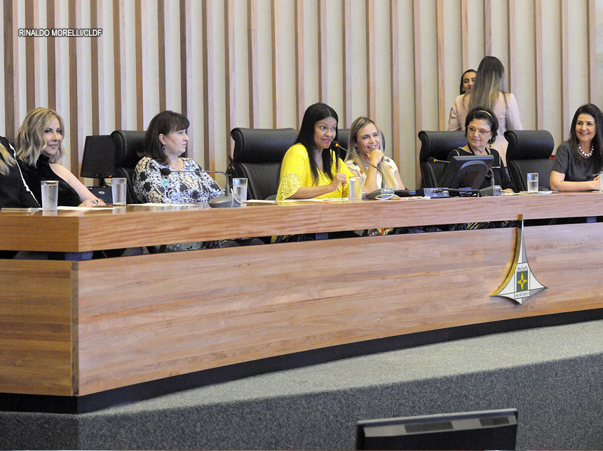 Mulheres são homenageadas pelo Dia Nacional da Mulher na Câmara Legislativa do DF