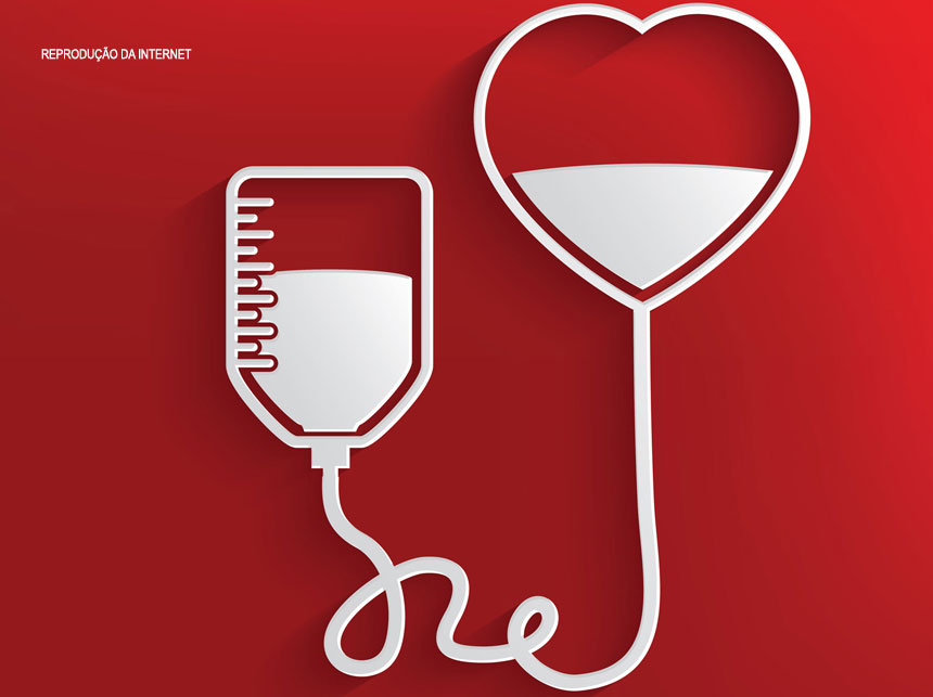 Jovens entre 18 e 29 anos são os maiores doadores de sangue no país