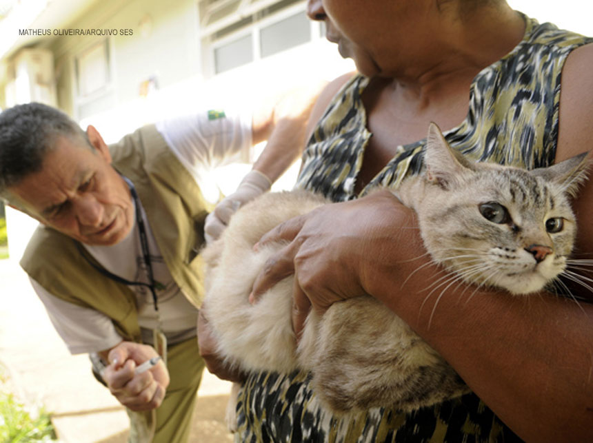 DF terá campanha de vacinação antirrábica ampliada e itinerante