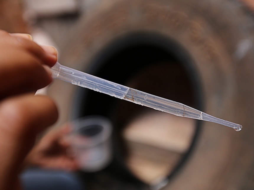 Combate ao mosquito Aedes Aegipty é intensificado no DF