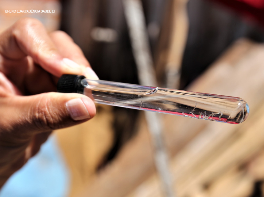 Donos de imóveis com focos do Aedes Aegypti, no DF, podem ser multados