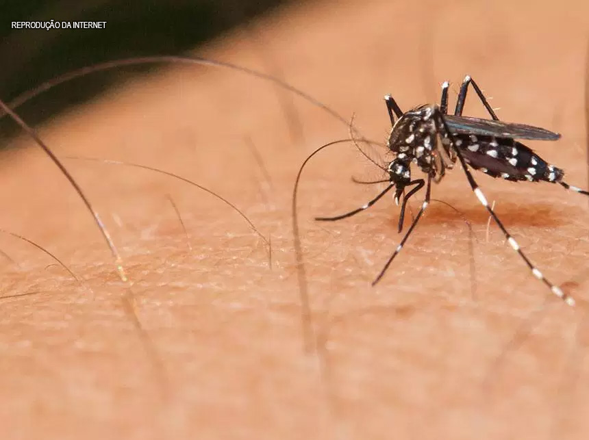 Confirmada a 4ª morte por dengue em 2019 no DF