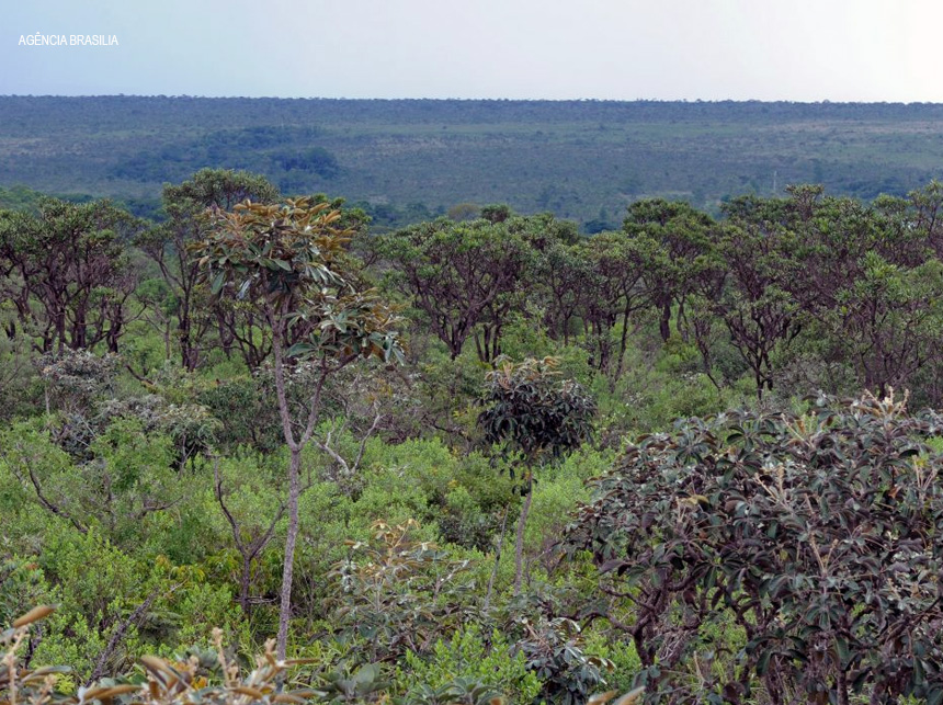 TCDF revela que mais de 90% das unidades de conservação do DF não têm regularização fundiária