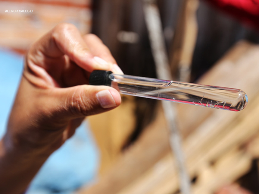 DF registra 10 mortes e quase 15 mil casos de dengue de janeiro a abril desse ano