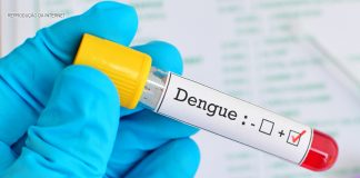 teste rápido dengue