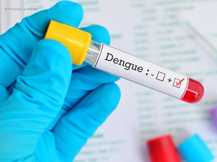 teste rápido dengue