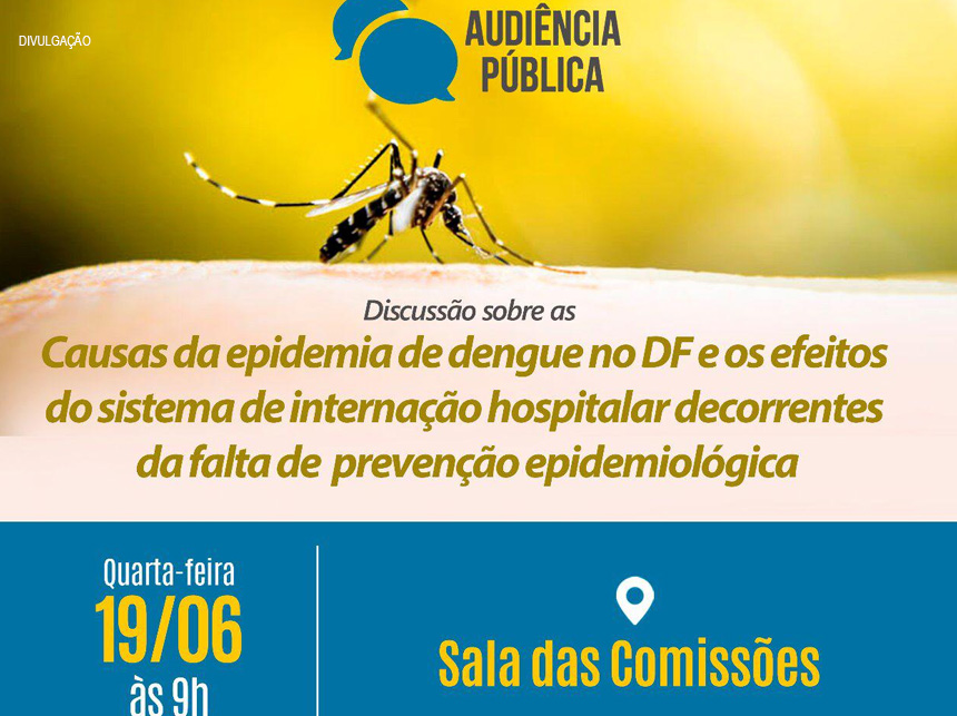 Jorge Vianna realiza audiência pública para tratar das causas da epidemia de dengue no DF
