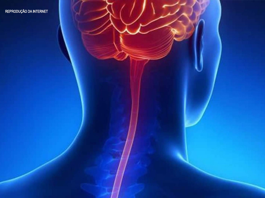 Inscrições abertas para o curso de Atualização em Meningite Bacteriana