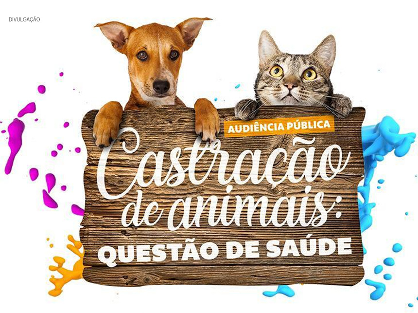 Castração de animais como prevenção a doenças é tema de debate na Câmara dos Deputados