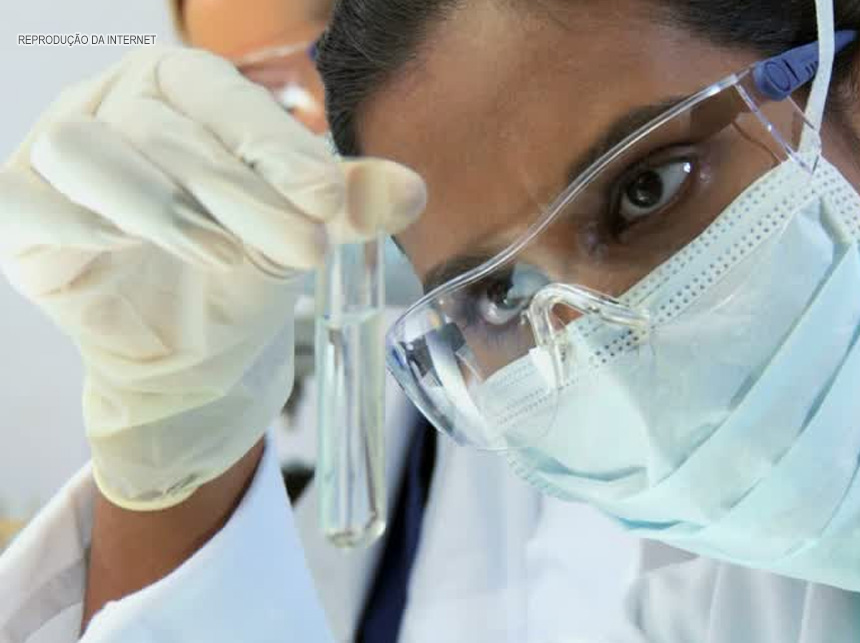 Doença similar à leishmaniose, porém mais grave, é descoberta no país