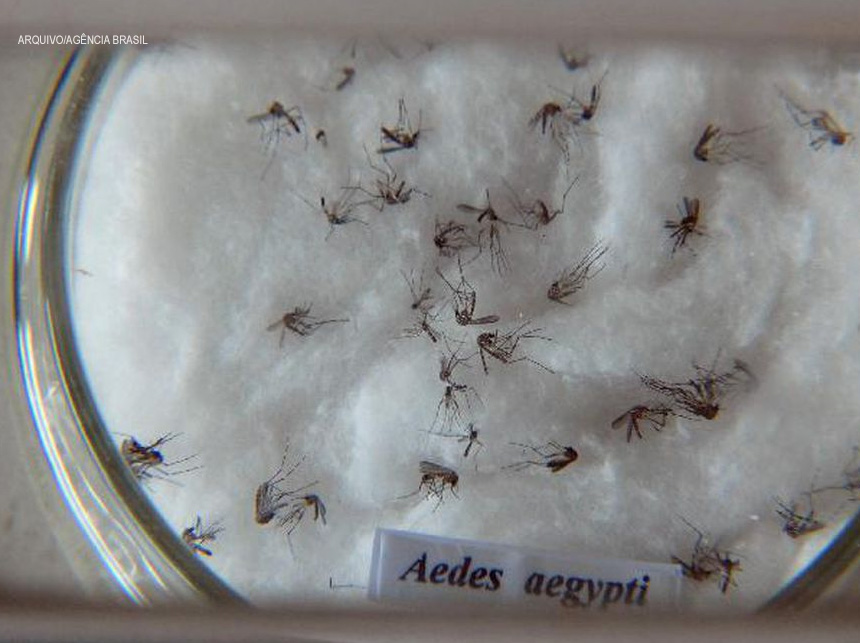 Ministro da Saúde manifesta preocupação com a dengue no verão