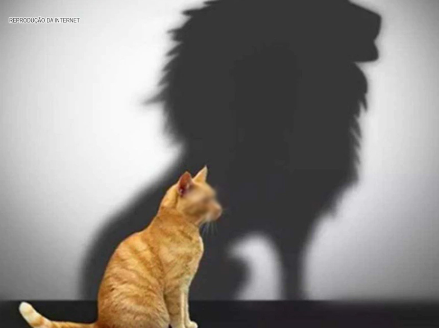 Abuso de autoridade: proibido nomes e imagens de presos