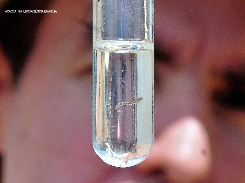 Defesa Civil oferece novo serviço de alerta contra arboviroses no DF