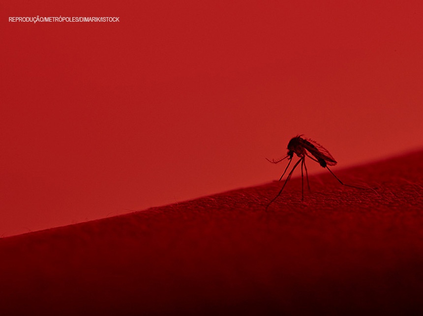 Dengue matou 62 pessoas no DF em 2019. Em 2018, foram duas