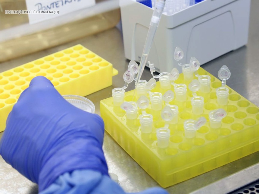 Fiocruz recebe material genético para apurar teste de coronavírus
