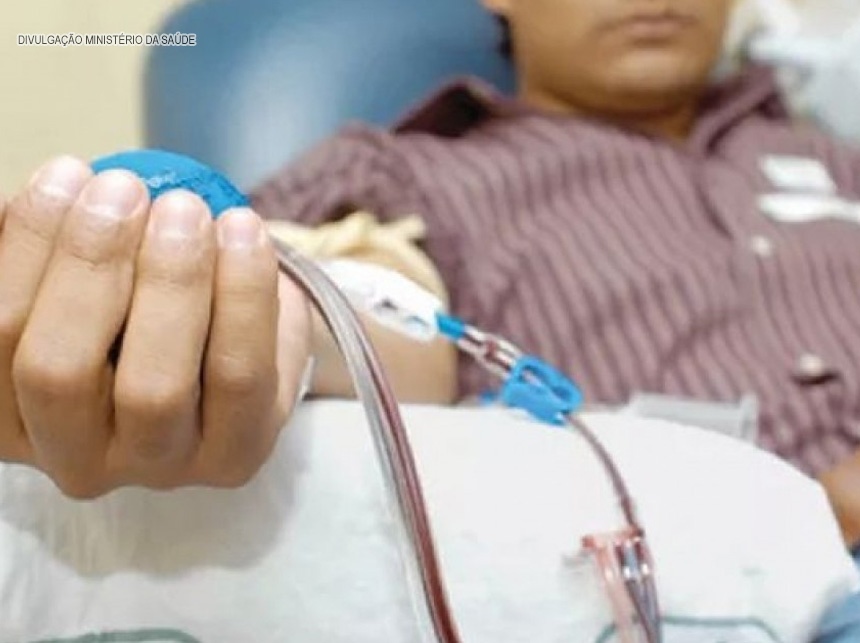 Hemofilia: quase 13 mil pacientes estão cadastrados no Brasil