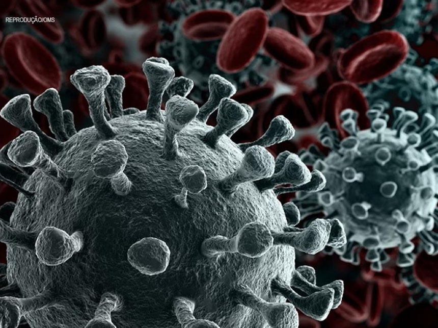 Covid-19: Saúde prevê disseminação sem controle na próxima semana