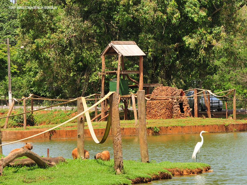 GDF determina o fechamento de parques e shoppings a partir desta quarta-feira (18)