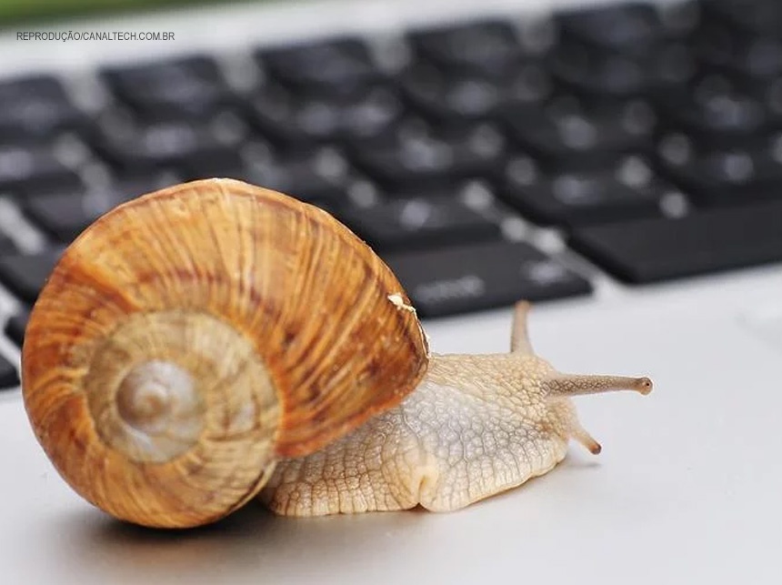 Confinamento pode deixar internet brasileira lenta