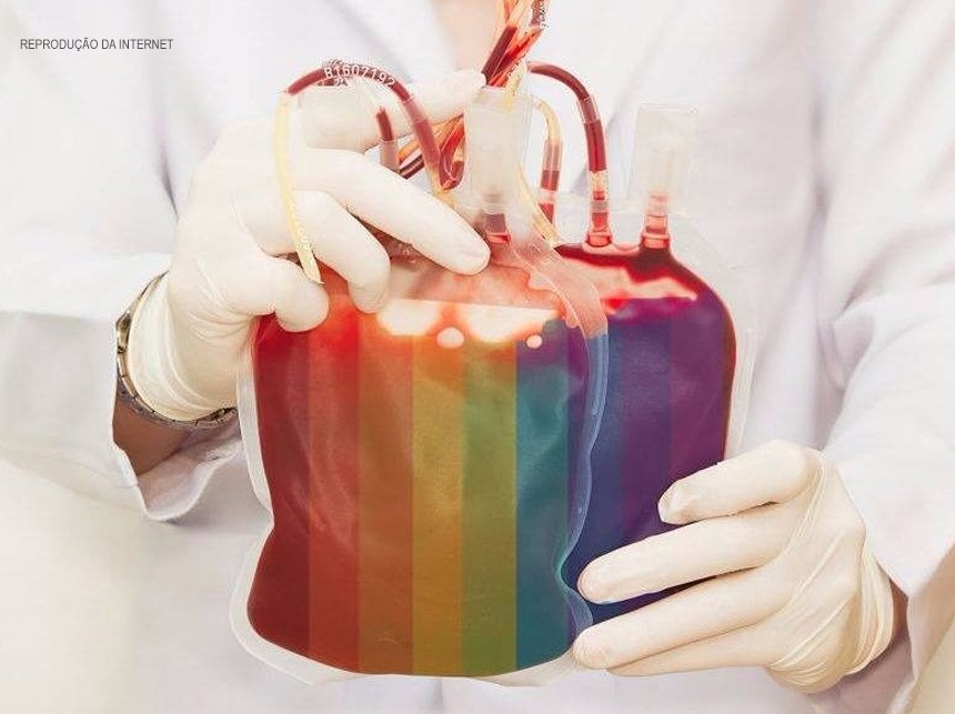 Proibição de doação de sangue por homens homossexuais é inconstitucional, decide STF