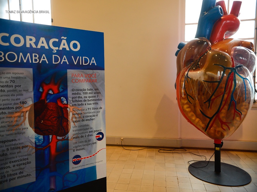 Cartórios registram aumento nas mortes por doenças cardiovasculares