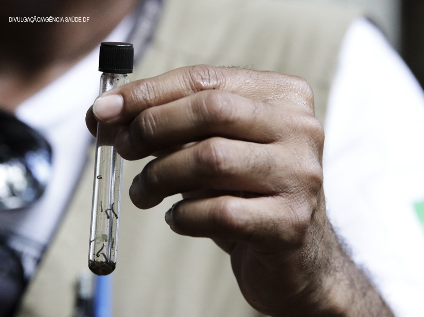 Exames de laboratórios privados indicam aumento de casos de dengue