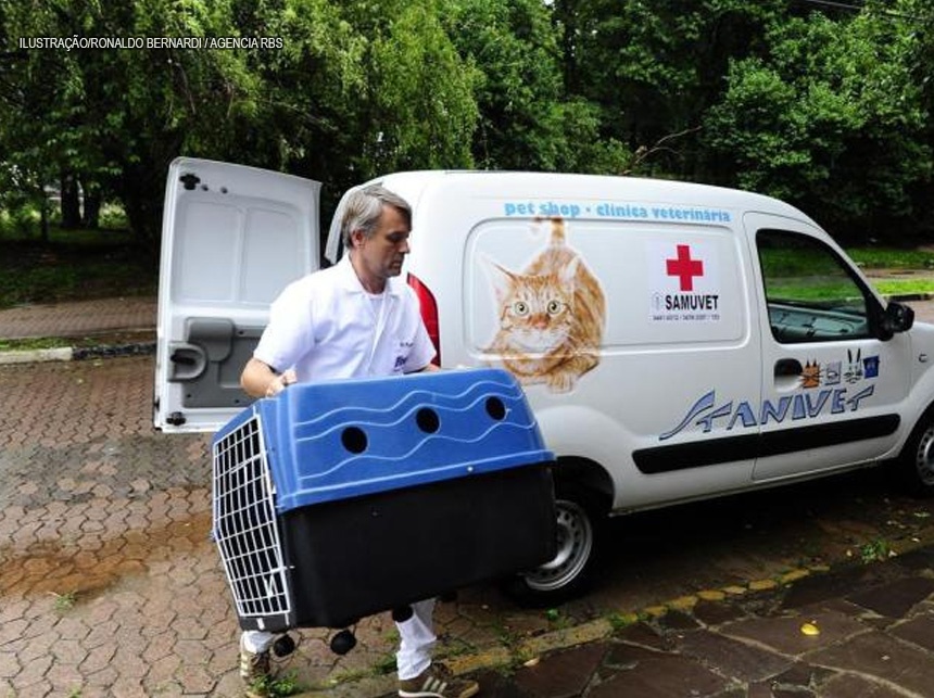 TJDFT: Lei que cria serviço de atendimento móvel de urgência para animais no DF é suspensa