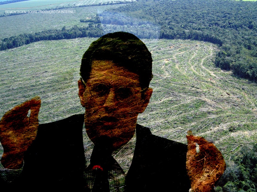 STF autoriza medidas cautelares em operação que envolve Ministério do Meio Ambiente