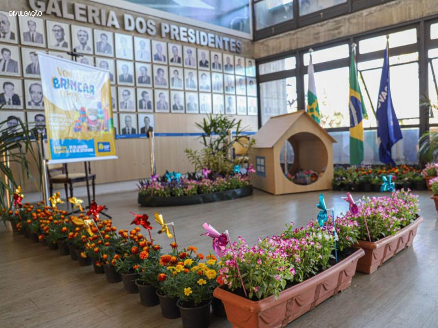 Troque livros e brinquedos infantis por mudas de plantas